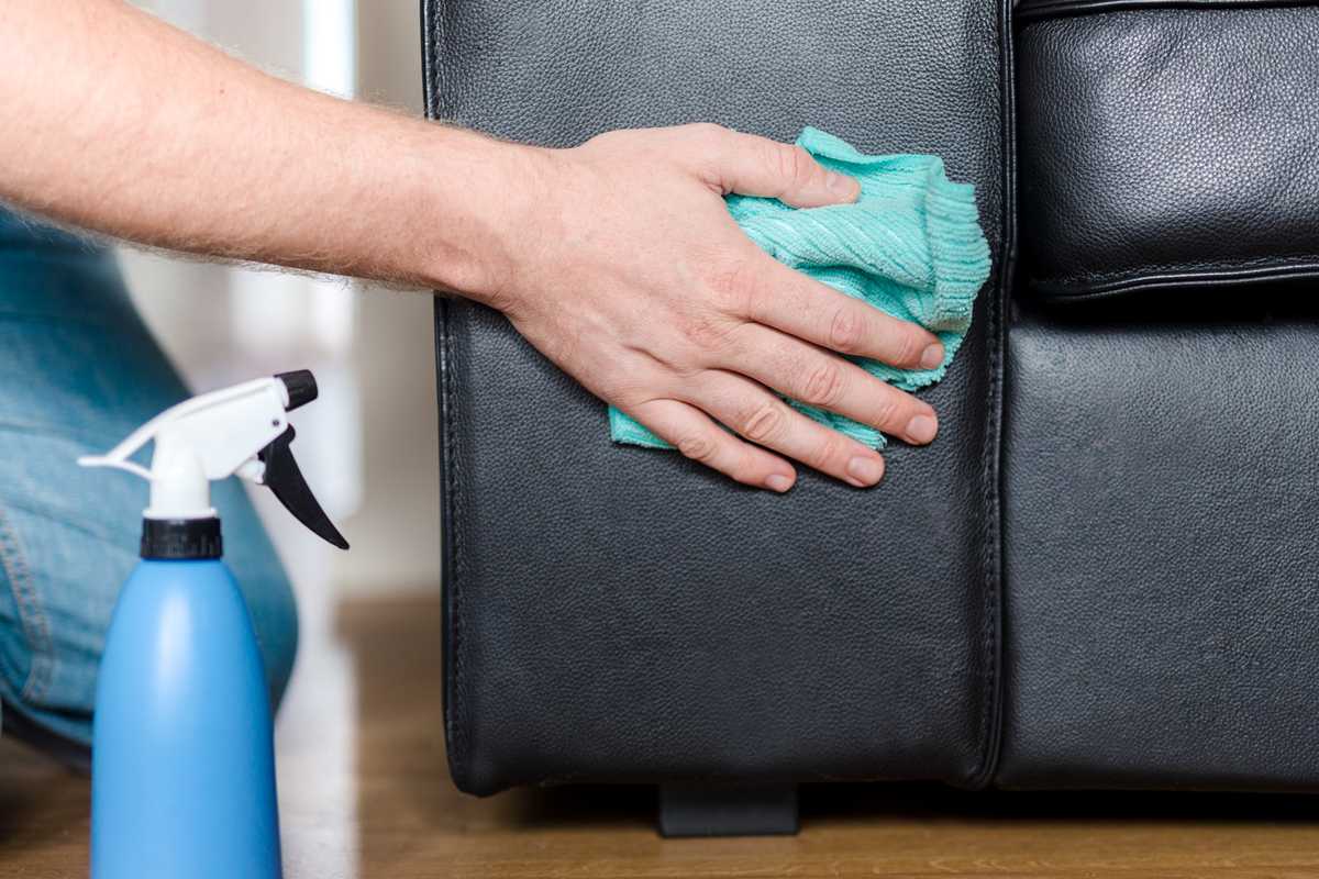 cleaning leather sofa to shine